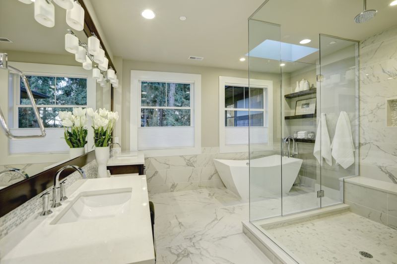 Elegant Shower and Tub Combos
